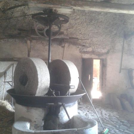 Agriturismo Frantoio Mafrica Limbadi Dış mekan fotoğraf
