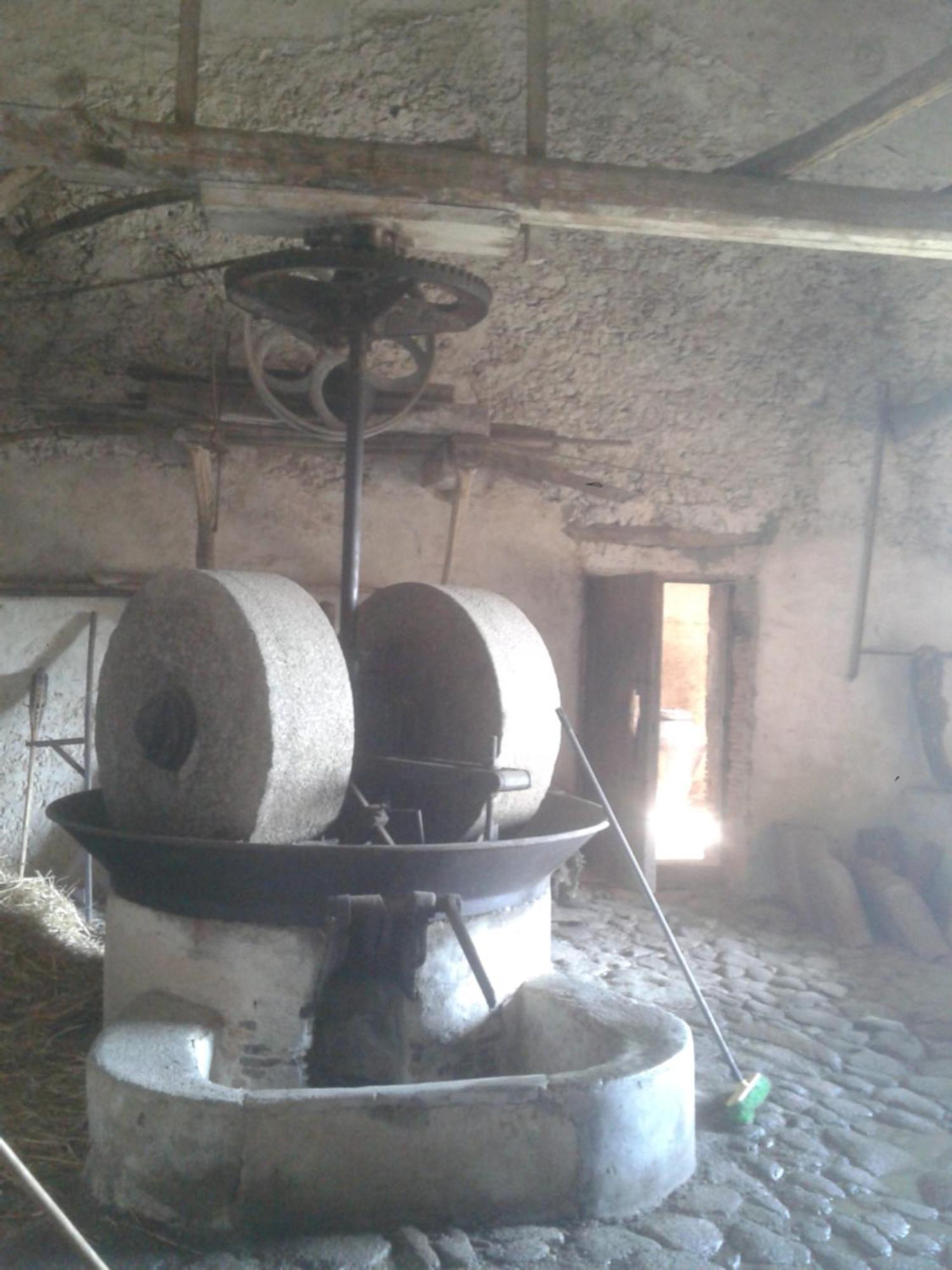 Agriturismo Frantoio Mafrica Limbadi Dış mekan fotoğraf