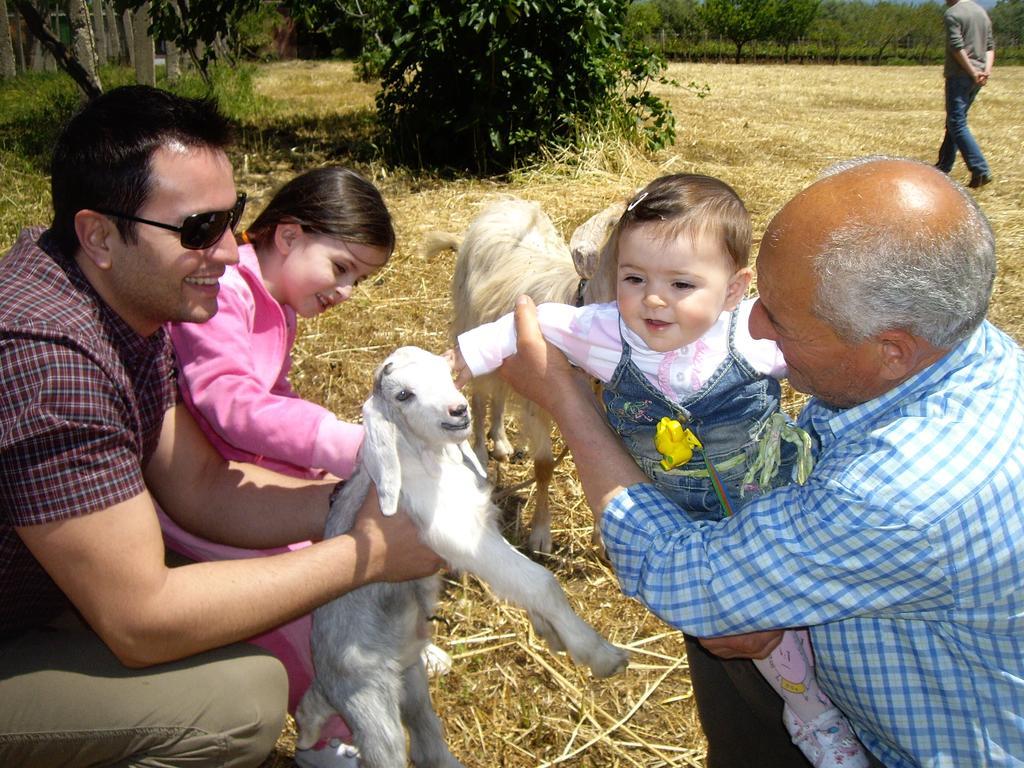 Agriturismo Frantoio Mafrica Limbadi Dış mekan fotoğraf