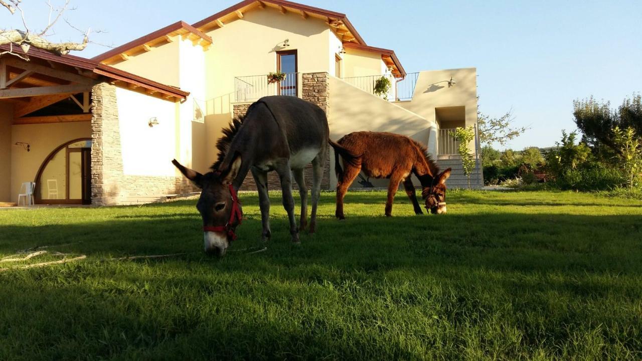 Agriturismo Frantoio Mafrica Limbadi Dış mekan fotoğraf